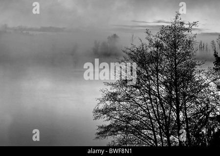 Cette nature image est un matin brumeux sur un lac au lever du soleil avec l'élève misty hors de l'eau, photo en noir et blanc. Banque D'Images