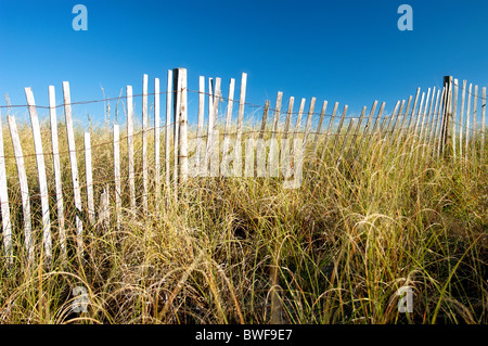 Dune dune clôture avec l'herbe. La Côte du Golfe, en Floride. Banque D'Images