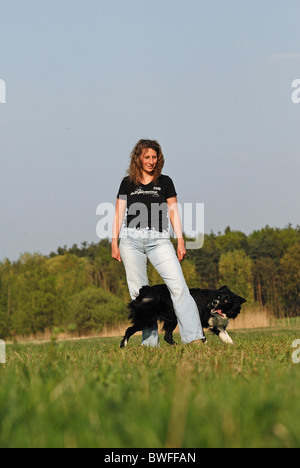 Montre Border Collie dog dance Banque D'Images