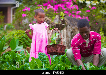 Un enfant et un homme dans le patch de chou, KwaZulu-Natal, Afrique du Sud Banque D'Images
