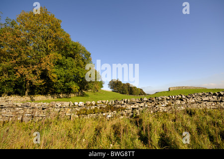 Yorkshire Dales près de Hawes Banque D'Images