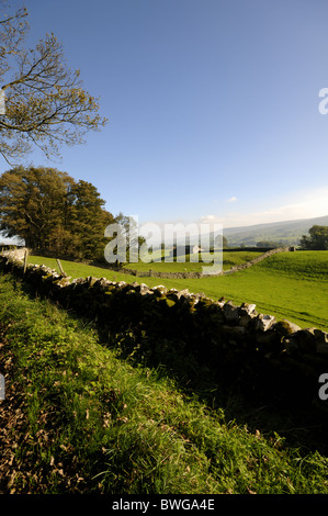 Yorkshire Dales près de Hawes Banque D'Images