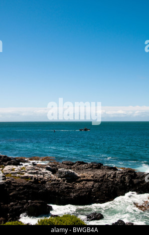 Bluff Lookout, le détroit de Foveaux, Bluff Port,Ville,Hotel, île du Sud, pointe la plus méridionale, Point, Nouvelle-Zélande Banque D'Images