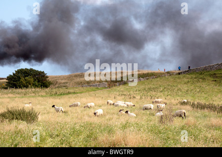 Le feu sur l'Île Sainte de Northumberland Lindisfarne Banque D'Images