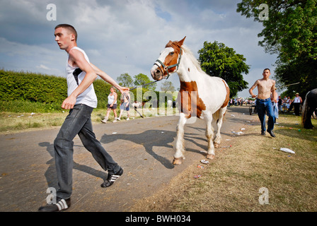 Deux garçons les chevaux du troupeau Banque D'Images