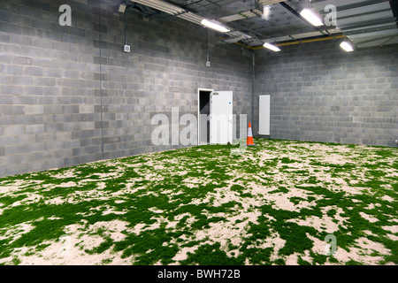 L'Irlande Comté de Dublin Lansdowne Road Ballsbridge City stade Aviva piscine aire de pratique avec le gazon artificiel Banque D'Images