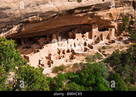 Cliff Palace ruine, Mesa Verde National Park, Colorado Banque D'Images