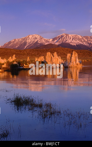 Lac Mono réserve d'état de tuf calcaire de l'eau du lac Crater Lake Tufas Hoodoos pierre de tuf bizarre bizarre bizzare scenery Banque D'Images