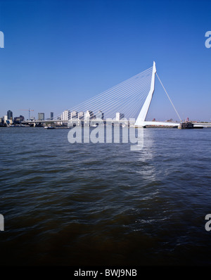 Le Pont Erasmus combler la Meuse, Rotterdam, Pays-Bas Banque D'Images