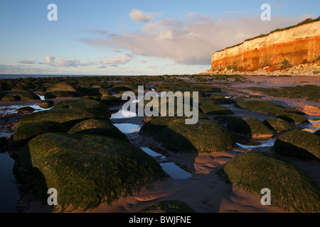 Les falaises multicolores et plage de Hunstanton, West Norfolk. Banque D'Images