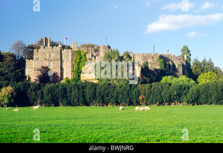 Château de Berkeley, dans le comté de Gloucestershire, Angleterre. Construit pour défendre l'estuaire de la Severn et la frontière galloise. Date de 1117 Banque D'Images