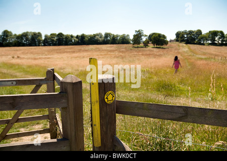 Jeune femme marcher un sentier à travers un champ dans la campagne anglaise en été ; Lyminge village près de Folkestone, Kent UK Banque D'Images