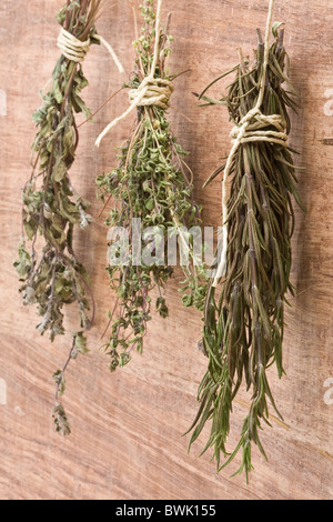 Fresh herbe séchée des paquets de différentes herbes accroché au mur Banque D'Images