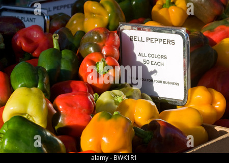 Poivrons doux en vente sur un marché de producteurs d'Omaha Banque D'Images