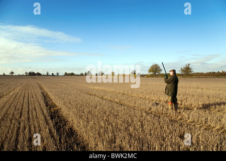 Un jeu de tir (pistolet) en attendant le gibier qui augmente sur un tournage, España Banque D'Images