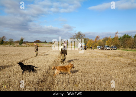 Shooters (armes à feu) et leurs chiens sur un gibier tirer, Cambridgeshire, UK Banque D'Images
