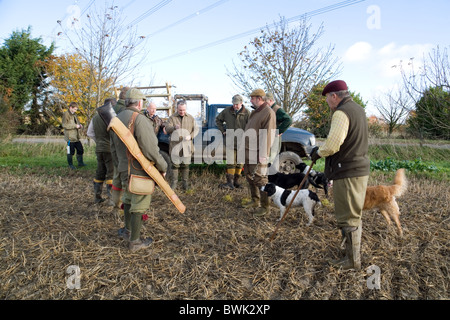 Shooters (armes à feu) et leurs chiens sur un gibier tirer, Cambridgeshire, UK Banque D'Images