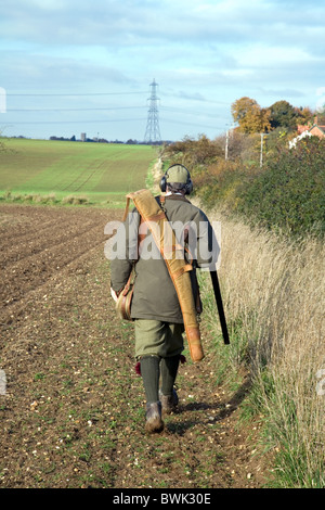 Shooter (Gun) sur un gibier tirer, à partir de l'arrière, Cambridgeshire UK Banque D'Images