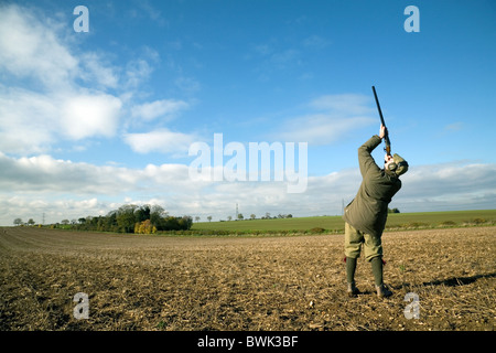 Un jeu de tir (arme à feu) Tir à une partie d'un oiseau sur un tournage, España Banque D'Images