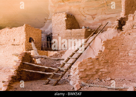 Keet Seel ruines Anasazi Indian culture autochtones américains cliff ruines Pueblo grotte grotte de règlement cli rock Banque D'Images