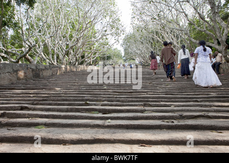 Marches en pierre menant à la montagne monastère de Mihintale, Sri Lanka, Asie Banque D'Images