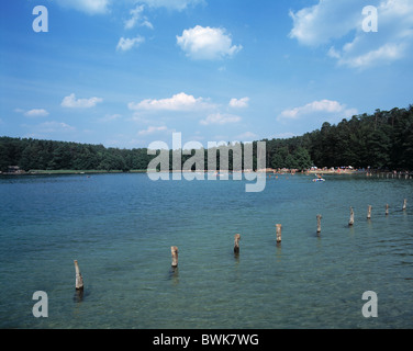 Grand lac de baignade lac Stechlinsee plaine plaine 33 lacs du Mecklembourg Allemagne Europe Brandenburg Banque D'Images