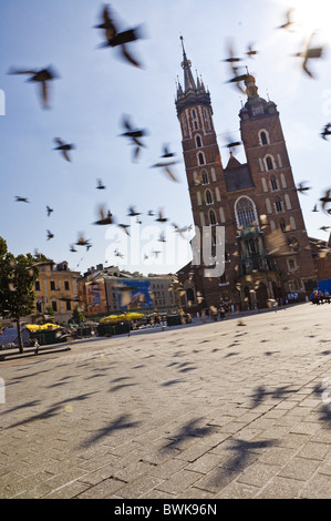 Troupeau de pigeons voler en face de la Basilique Sainte-Marie, Cracovie, Pologne, Europe Banque D'Images