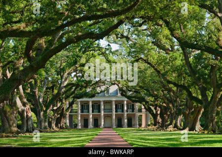 Louisiane, vacherie, la plantation d'Oak Alley, maison principale terminé 1841 Banque D'Images