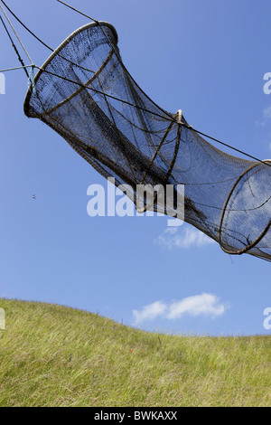 Weir pour la pêche au hareng accroché dans un pré, Kaseberga, Ystad, Skane, sud de la Suède, Suède Banque D'Images