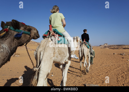 Les touristes à cheval sur des chameaux pour le temple de Dakka, Lac Nasser, Egypte, Afrique du Sud Banque D'Images