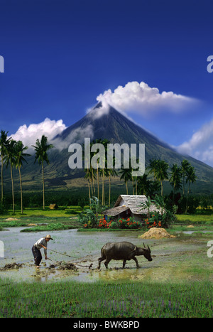 Agriculteur avec le buffle d'eau sur l'émergence case en face de la vapeur du volcan Mayon, Legazpi, l'île de Luzon, Philippines, Asie Banque D'Images