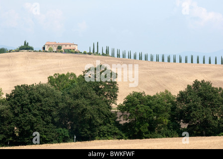 Val d'Orcia ferme et ligne de cyprès bordant l'avenue allée de la maison, Toscane, Italie Banque D'Images