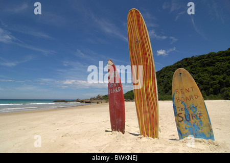 Amérique du Sud Brésil Ilha Grande Plage de Lopes Mendes island isle beach mer plage sable surfboards adver Banque D'Images