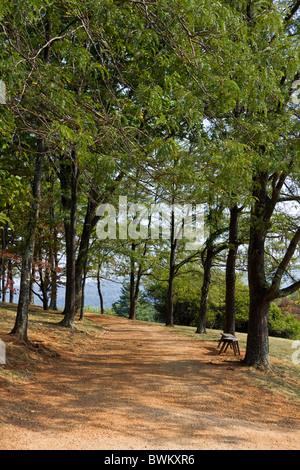 Chemin boisé dans les jardins de Monticello. accueil de Thomas Jefferson, Charlottesville, Virginia USA Banque D'Images