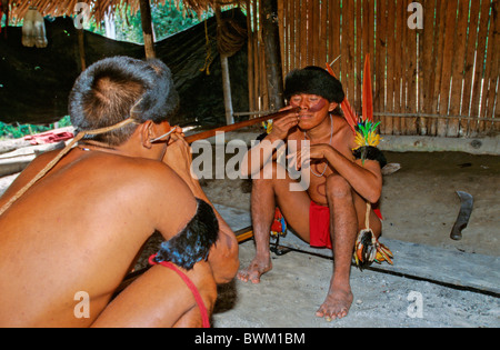 Venezuela Amérique du Sud Indios Tribu Yanomami Ironavi les populations autochtones Indiens autochtones indigènes n'rituel Yopo Banque D'Images