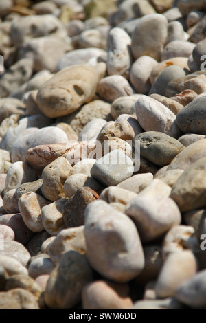 Galets sur une plage de Beli village sur l'île de Cres, Croatie Banque D'Images