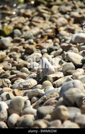 Galets sur une plage de Beli village sur l'île de Cres, Croatie Banque D'Images