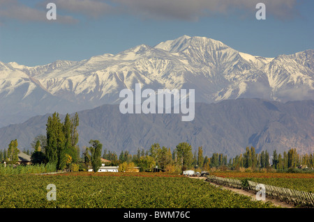 Amérique du Sud Argentine Cerro Vignobles Tupungato Bodega Andes Lujan de Cuyo Mendoza Amérique du Sud Banque D'Images