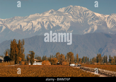 Amérique du Sud Argentine Cerro Vignobles Tupungato Bodega Andes Lujan de Cuyo Mendoza Amérique du Sud Banque D'Images