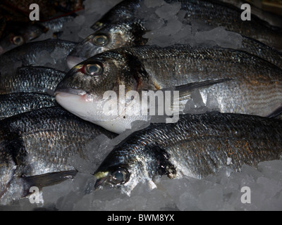 Poisson frais à vendre à Borough Market à Londres Banque D'Images