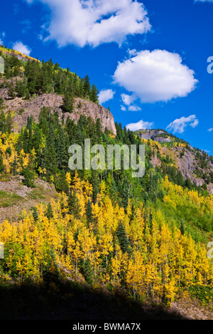 La couleur de l'automne sur le San Juan Skyway (route 550), Uncompahgre National Forest, Colorado Banque D'Images