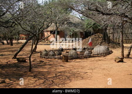 Shakaland, Vallée Nkwalini, Kwazulu Natal, Afrique du Sud. Banque D'Images