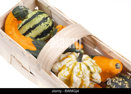 Belles citrouilles décoratives Banque D'Images