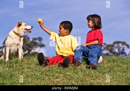 Enfants jouant avec un chien l'Australie Banque D'Images