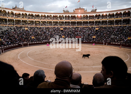 Corrida dans les arènes de Las Ventas. Madrid . Espagne corrida torero de corrida tauromachie toro bull toreo torero toreros bull Banque D'Images