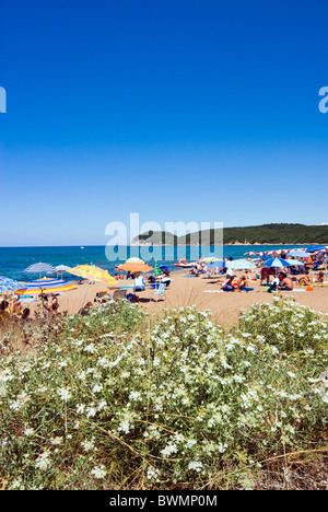 Populonia Baratti Plage, Baratti, province de Livourne, Toscane, Italie Banque D'Images