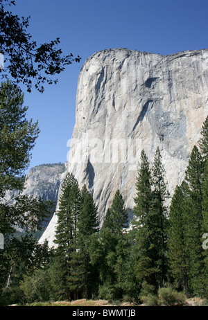 Plage de la Cathédrale de El Capitan dans la vallée Yosemite avec ciel bleu Banque D'Images