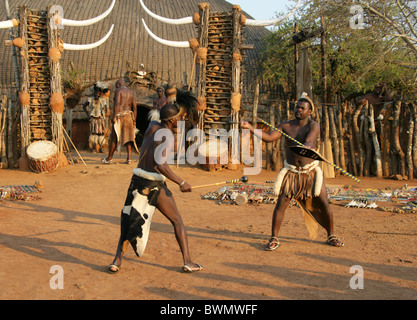 Démonstration de techniques de combat, les hommes zoulou d'armes traditionnelles village zoulou de Shakaland, Kwazulu Natal, Afrique du Sud. Banque D'Images