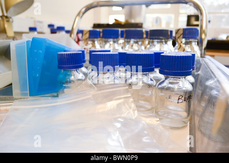 Laboratoire de sciences avec l'équipement pour l'autoclave classe biochimie microbiologie analyste médical culture cellulaire Banque D'Images