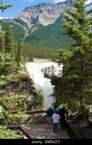 Les chutes Athabasca, Jasper National Park, Alberta, Canada. Banque D'Images